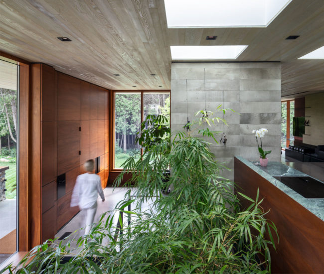 Indoor gardens toronto Designlines Trevor McIvor Architect