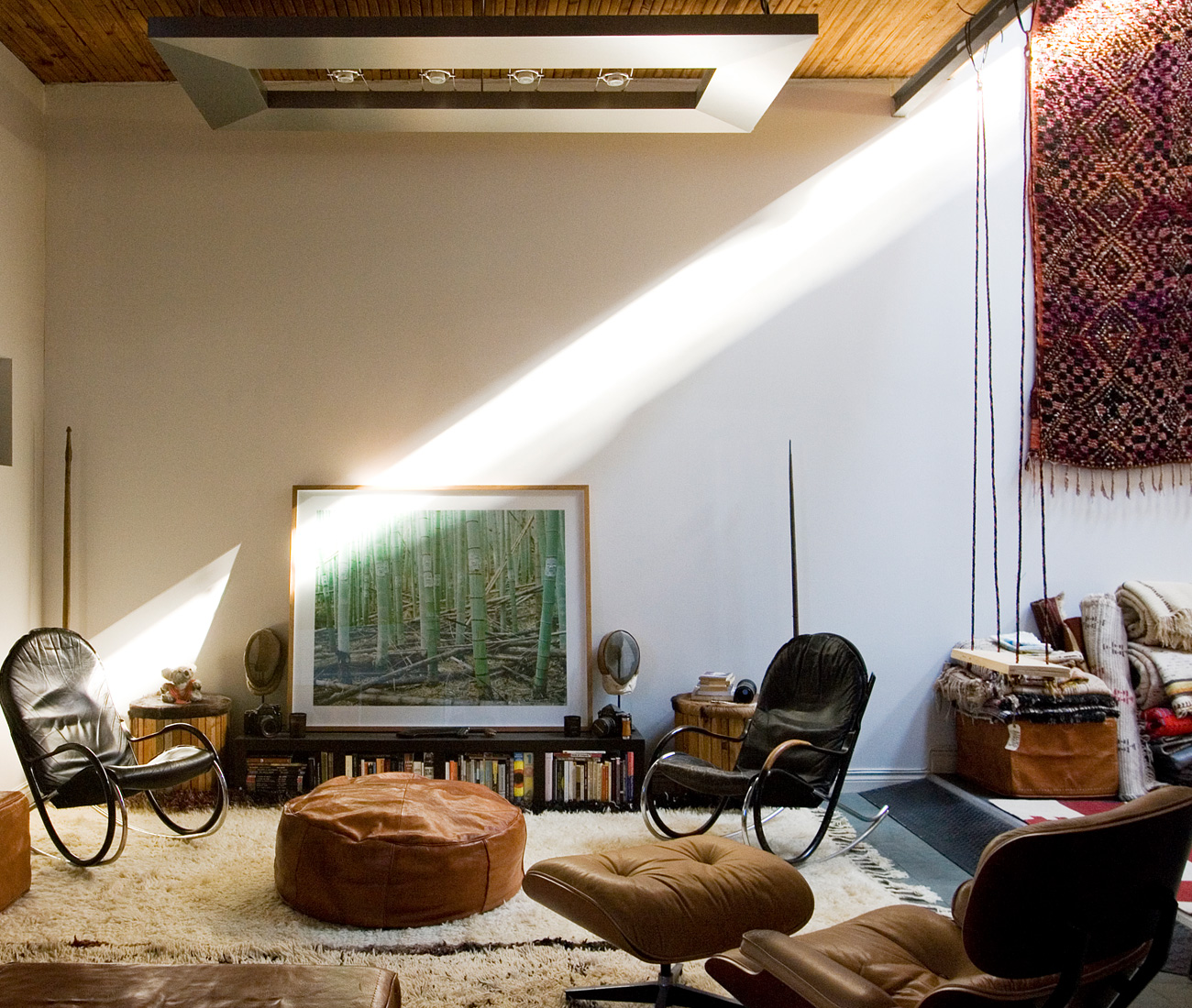 Living room with furnishing and rugs