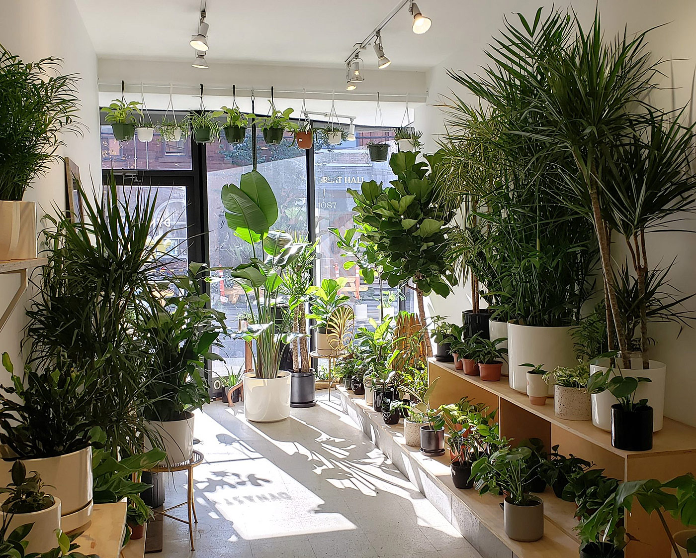 Plant Shops in Toronto