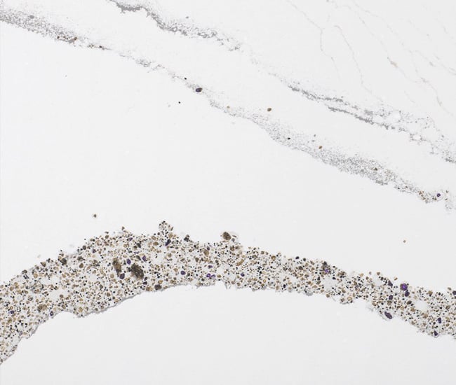 Cambria Gallery Toronto