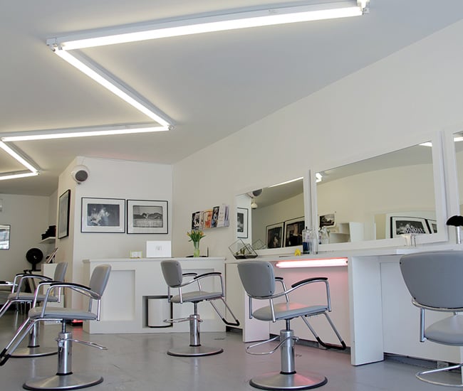 DL-mane-daynight-web-01