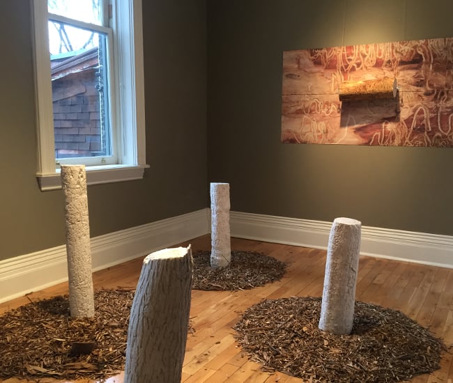 Sandrina Dumitrascu and Clara Romero art installation at Grow Op