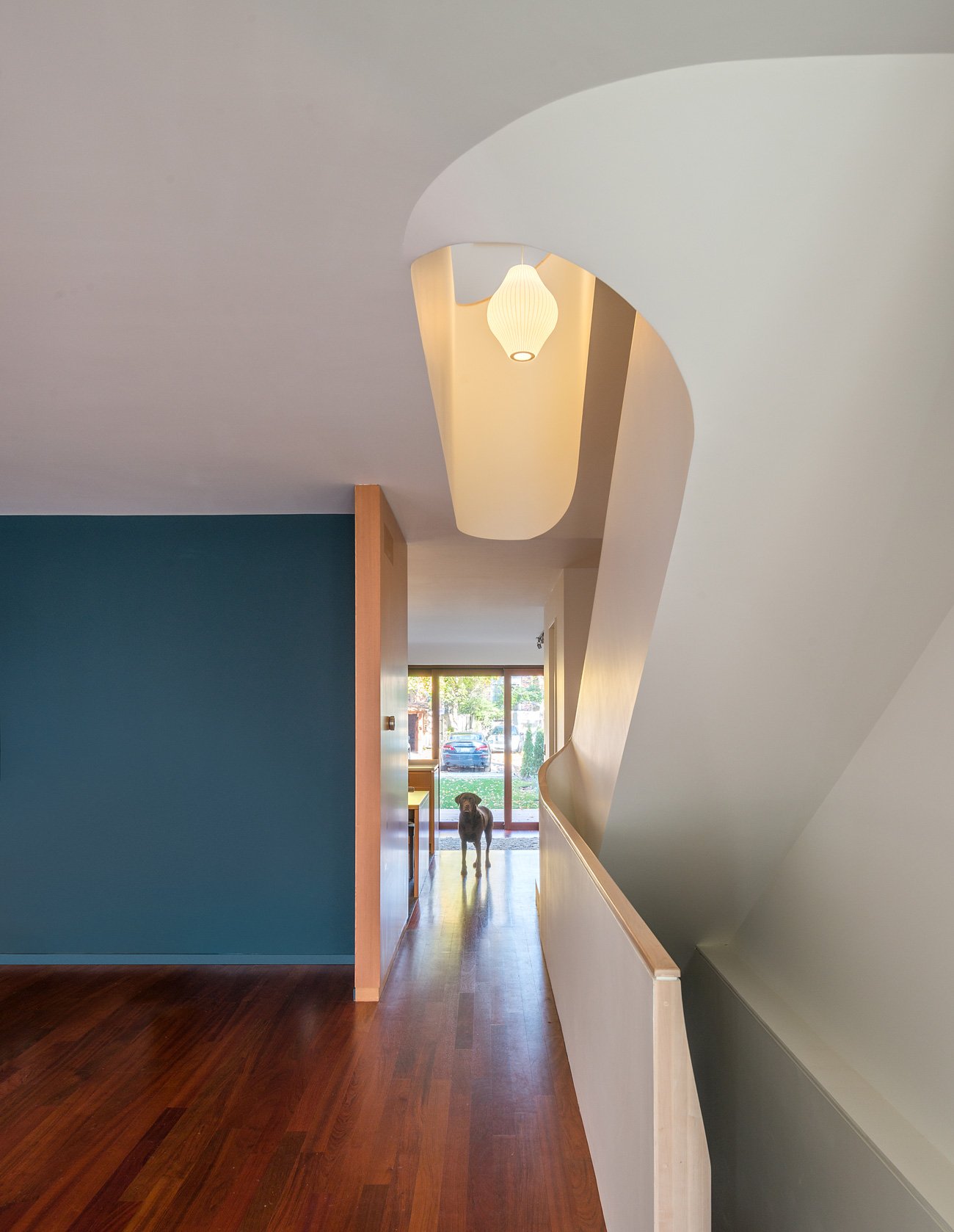 Dramatic Staircase - Williamson Williamson curved stairs