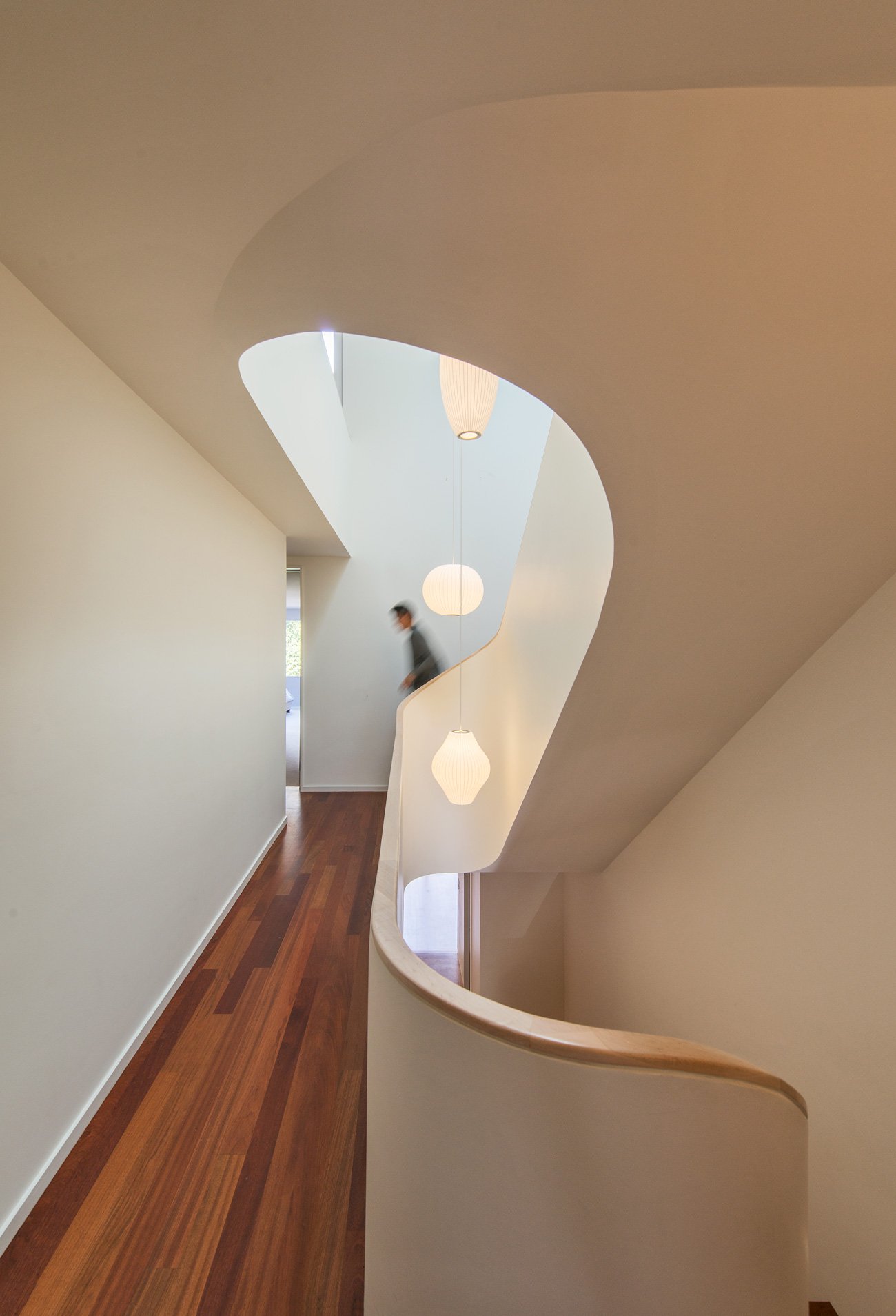 Dramatic Staircase - Curved stairs design - Williamson Williamson architecture