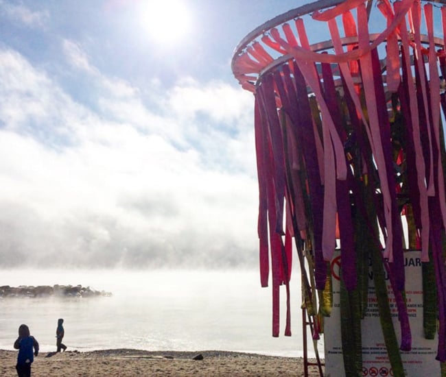 Aurora Borealis art installation by students of Laurentian University, part of Winter Stations 2016