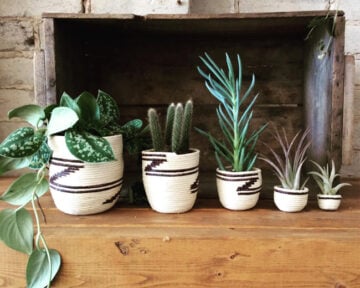 Urban Gardener Toronto