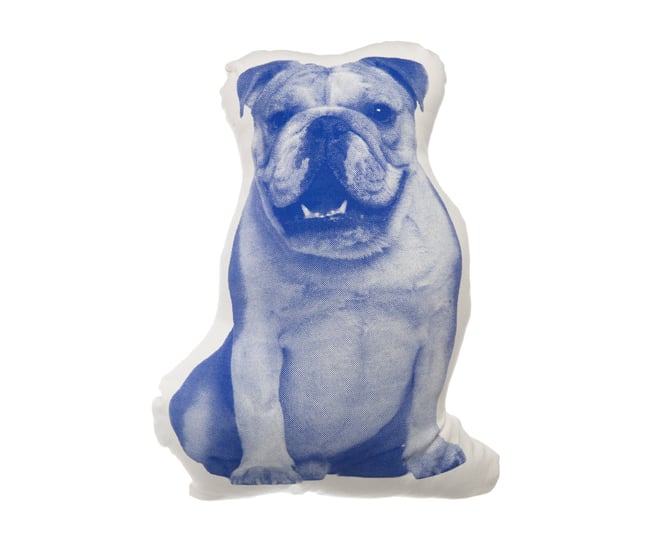 DL-0616-LB-Condo-Areawarepillow-2016