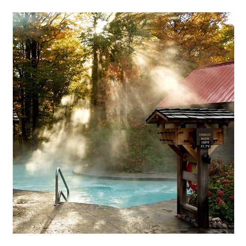 scandinavian restaurant toronto -scandinavespa