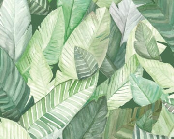 Green Wall - Banana leaves wall covering by New Wall