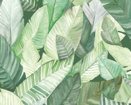 Green Wall - Banana leaves wall covering by New Wall
