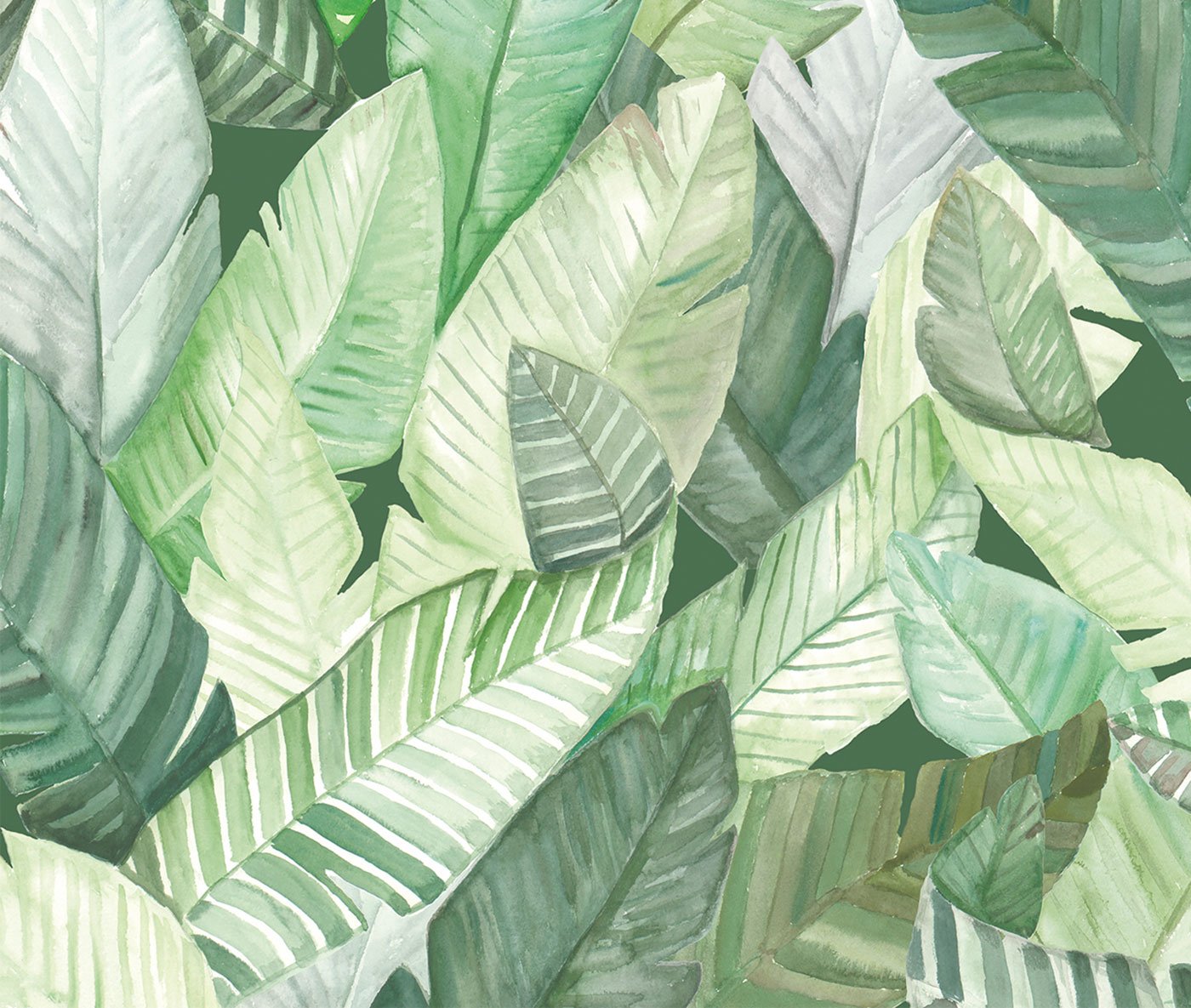Green Wall - Banana leaves wall covering by New Wall