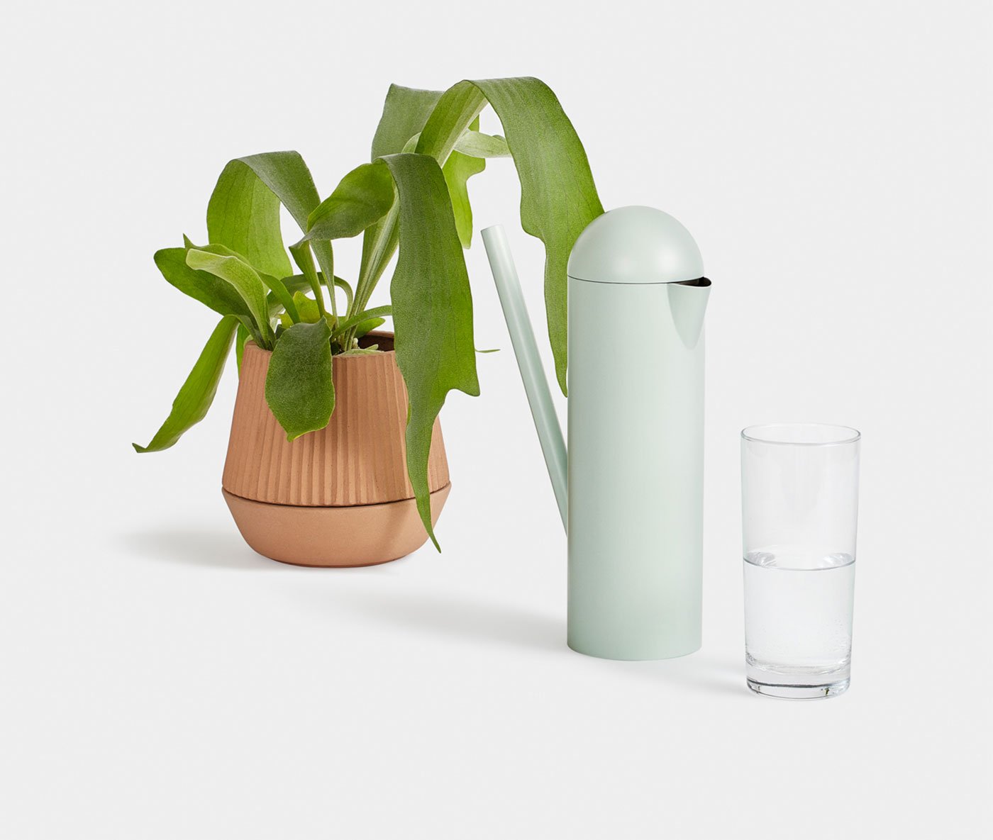 Umbra Shift's Deuce Watering can - California Style Furnishings