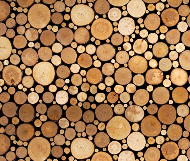 Wild Wallpaper Patterns - Brent Comber’s Alder