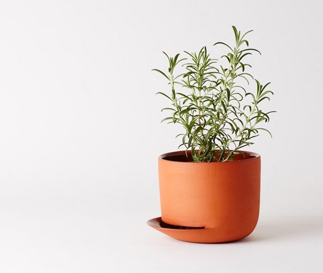Herb Pot designed by Anderssen Voll