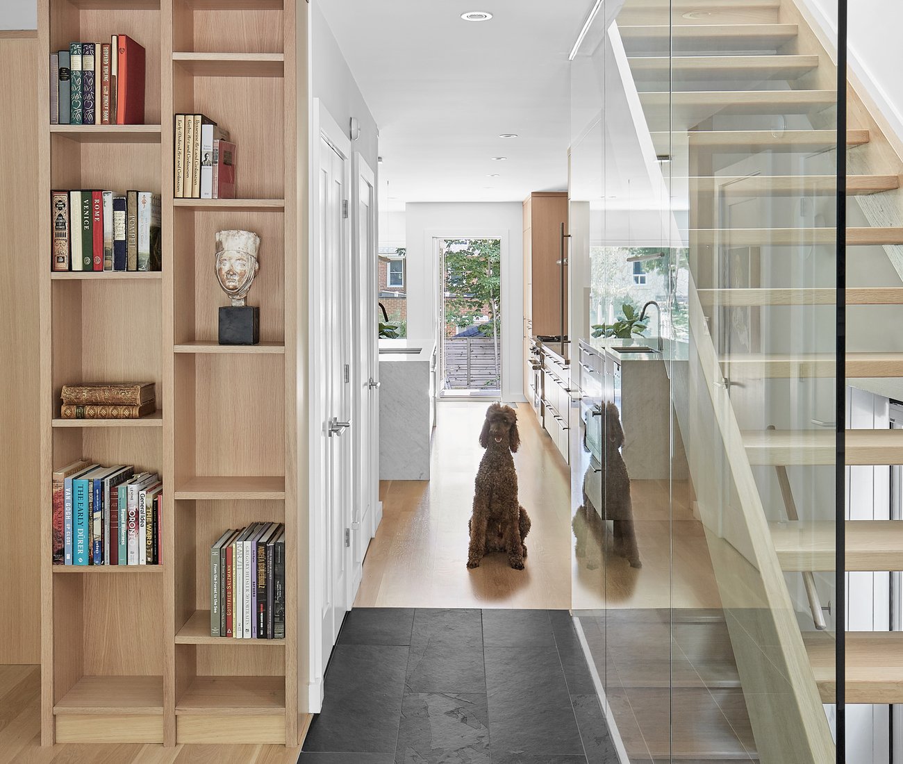Poodle sitting on the hallway of a newly renovated home by architect Heather Asquith 