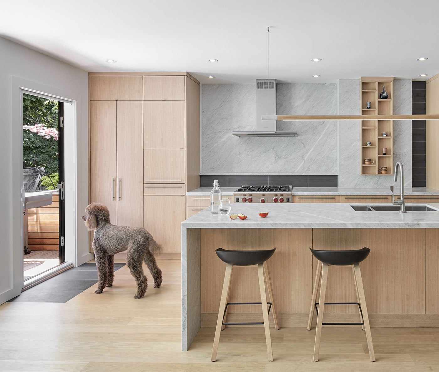 Kitchen interiors with dog looking outside, North Toronto addition by The back yard in House of Louis, a North Toronto renovation by Asquith Architects