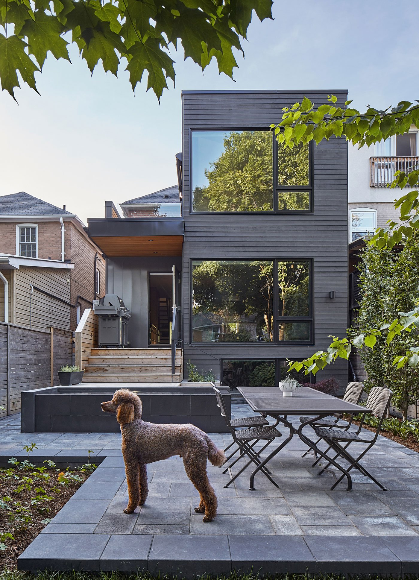 The back yard in House of Louis, a North Toronto renovation by Asquith Architects