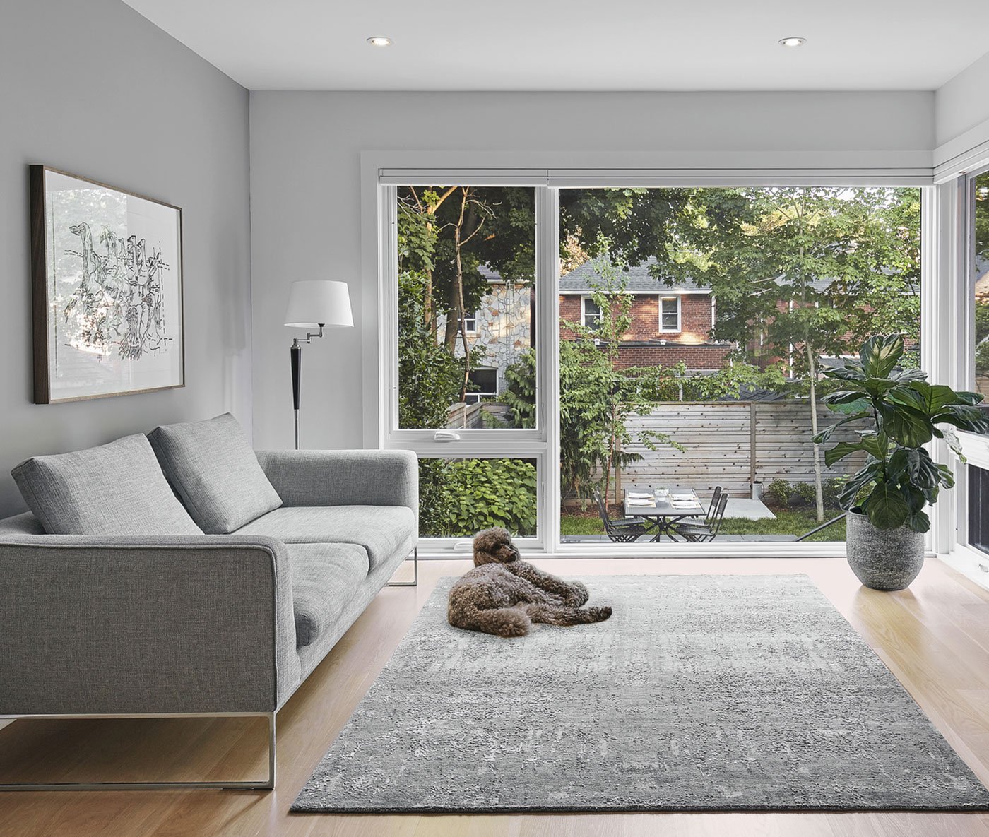 Living room of a North Toronto addition with dog relaxing on the rug
