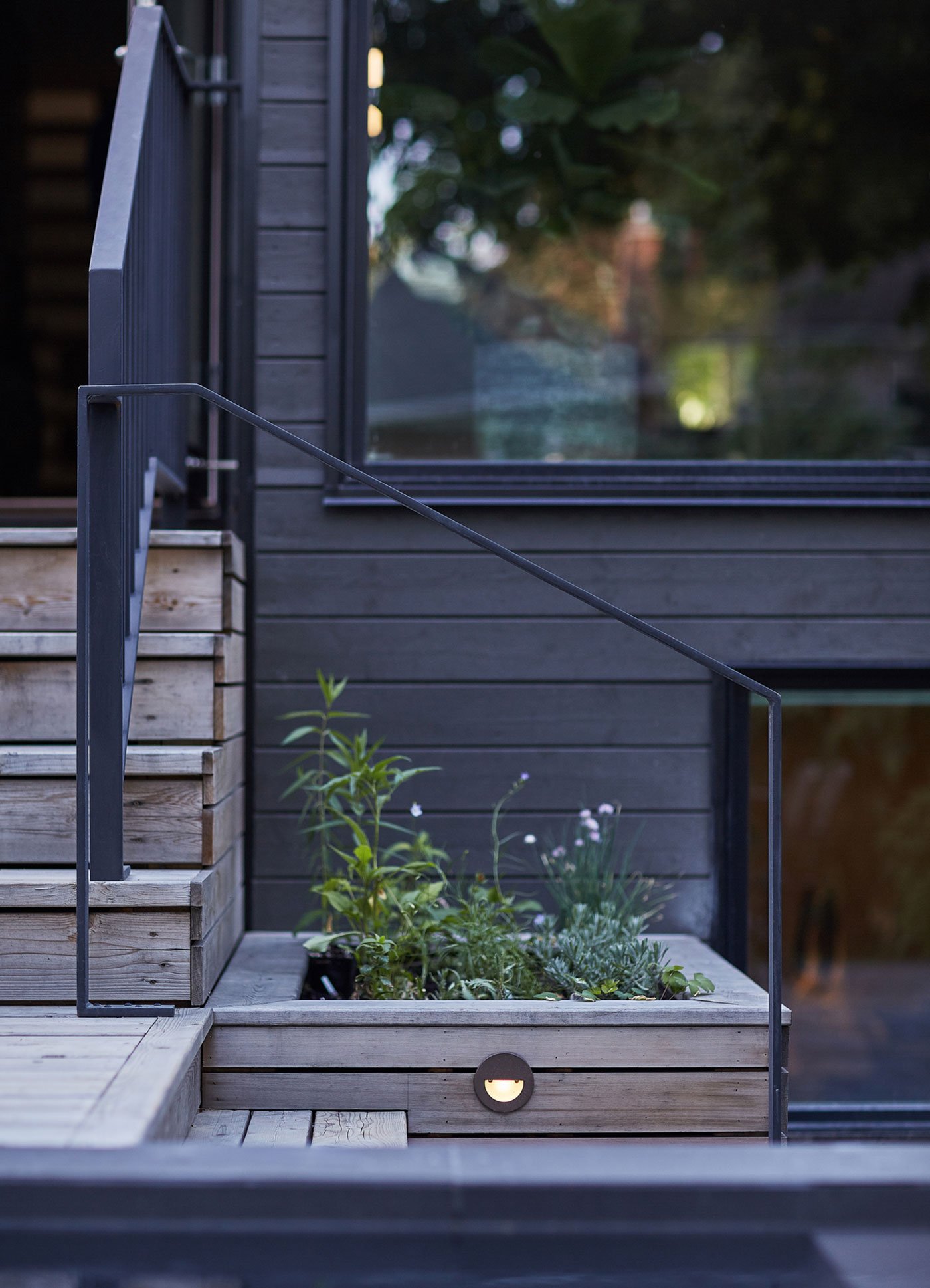 The back yard in House of Louis, a North Toronto renovation by Asquith Architects