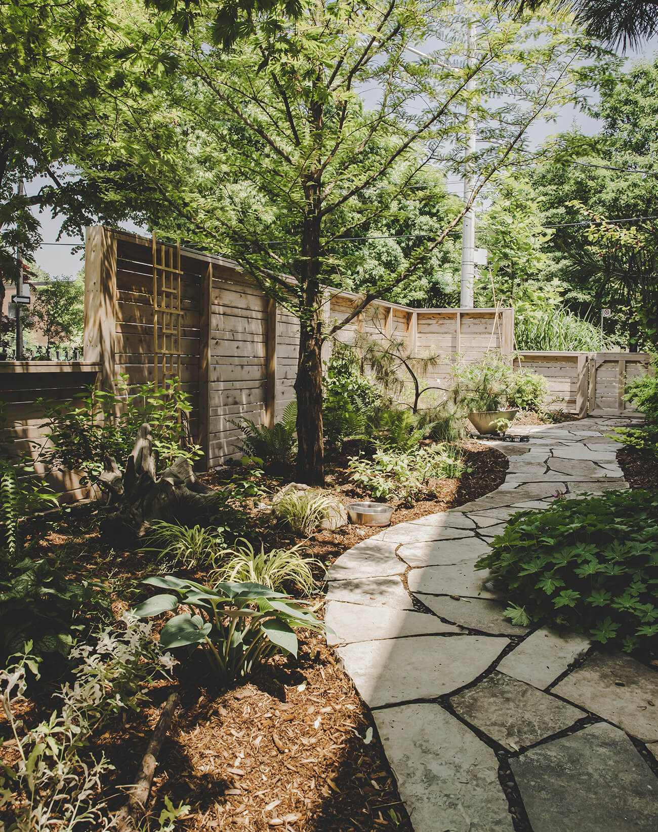 Toronto backyard garden