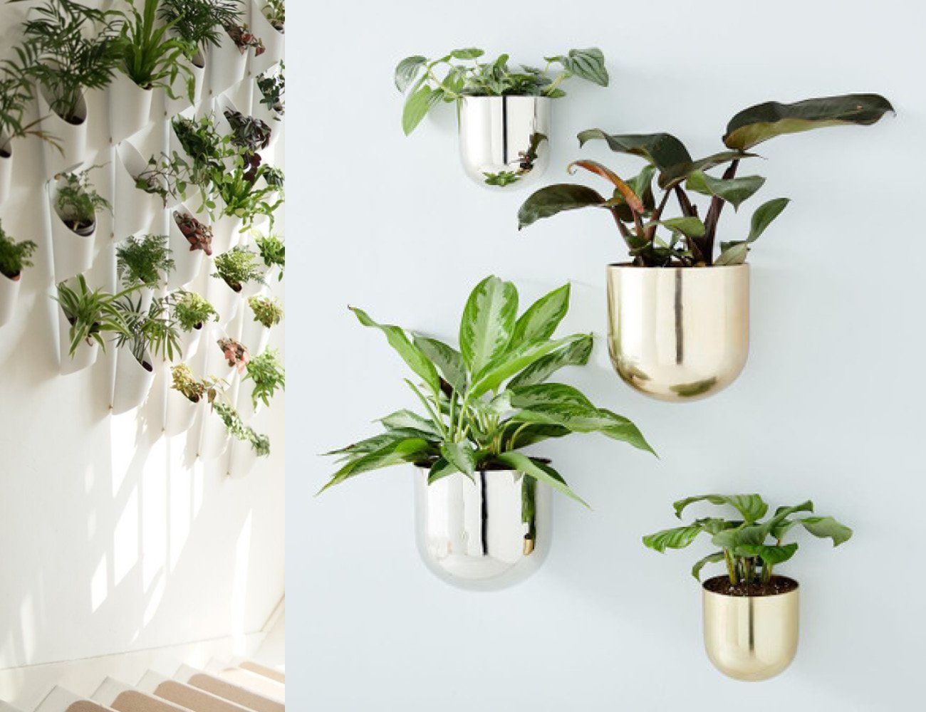 indoor planter ideas
