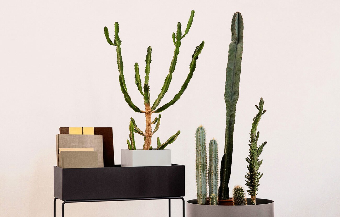 indoor planter ideas