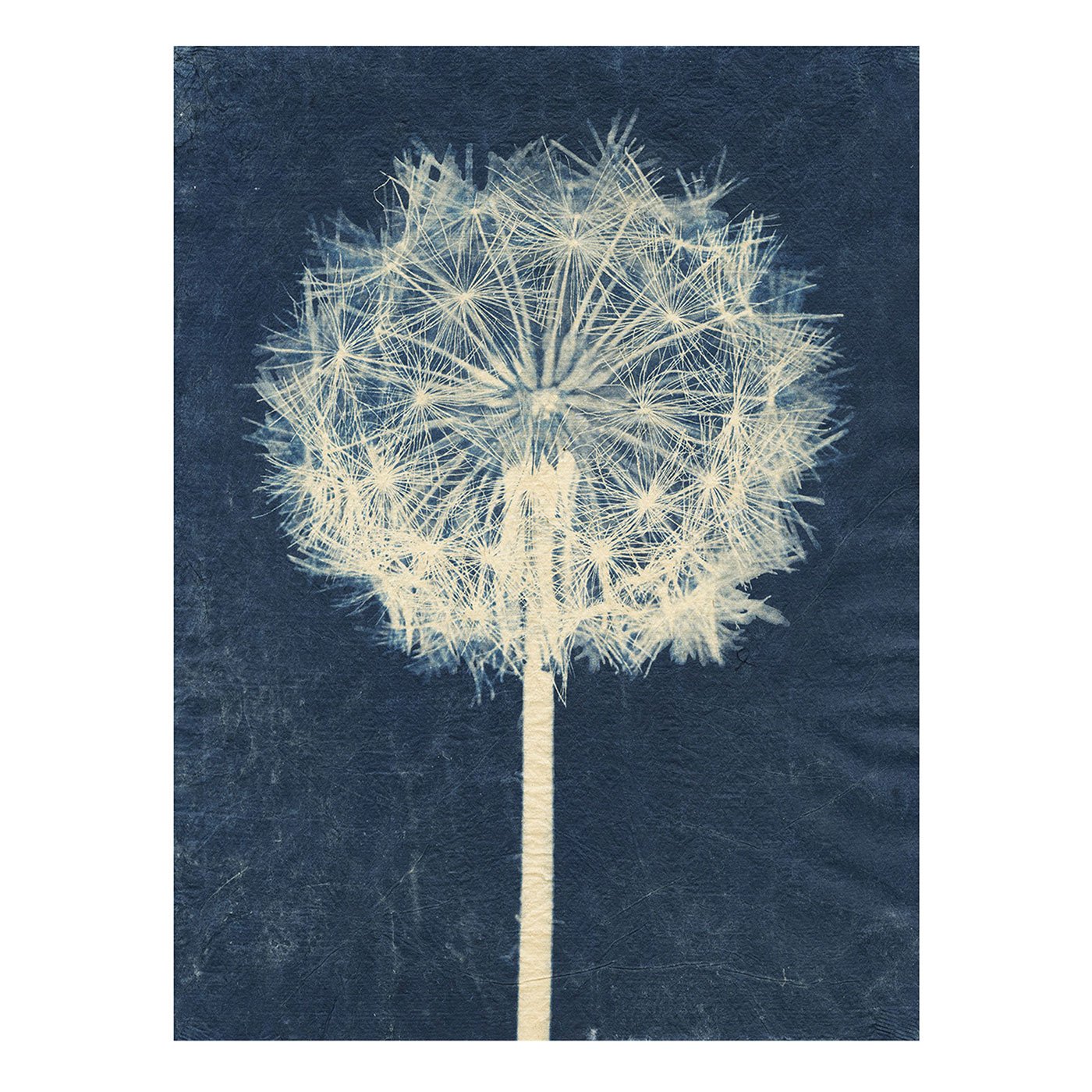 Sally Ayre - Laughter in the Breeze - Open Studio Art auction Future Proof