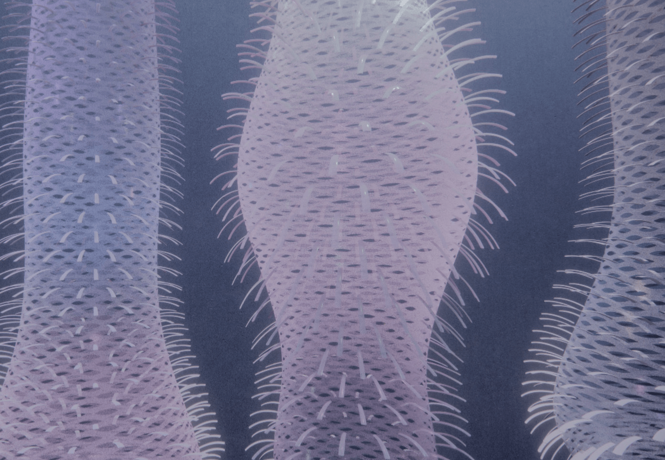 Lumas Gallery DesignTO