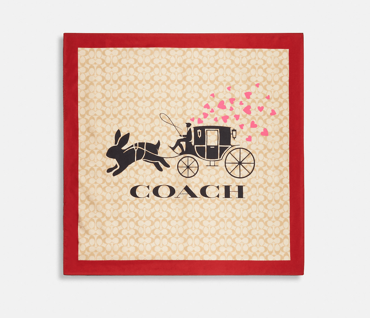 Lunar New Year Coach