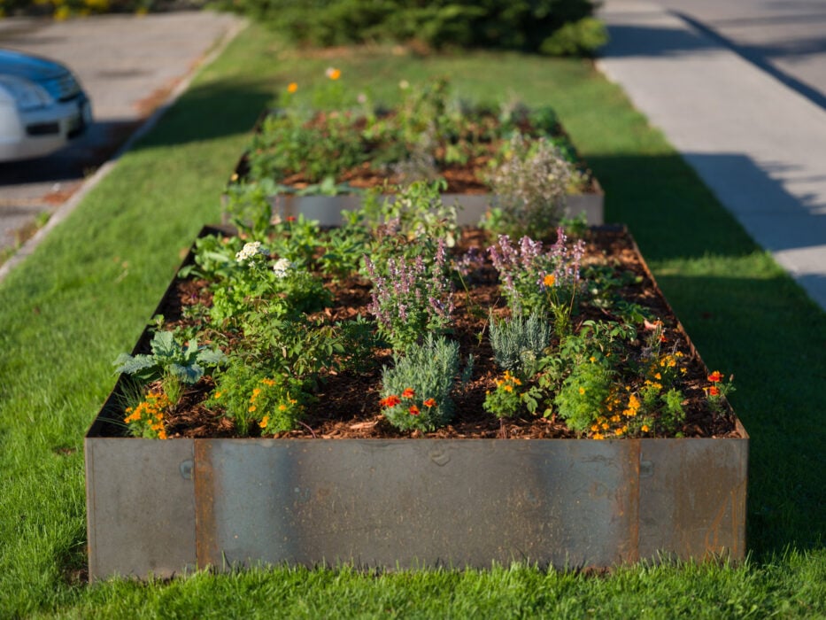 Waard Ward floral art