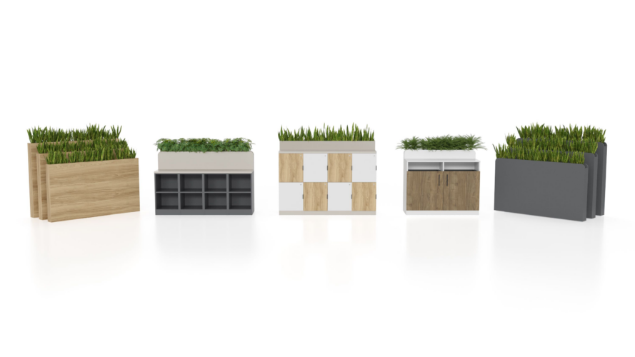 biophilic design elements