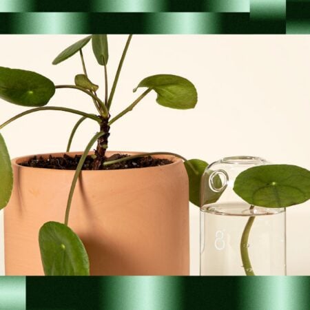 Gifts for the Green Thumb