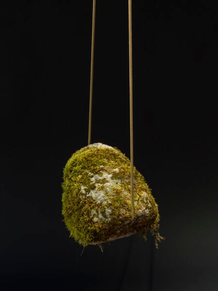 moss rock Dennis Lin artwork