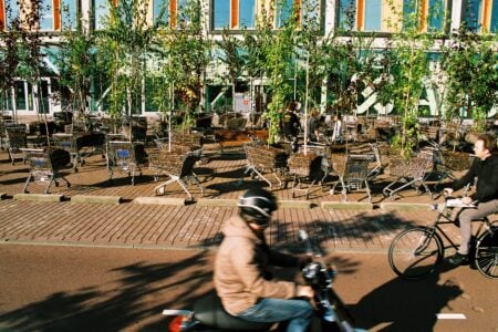 Image of trees planted in shopping carts
