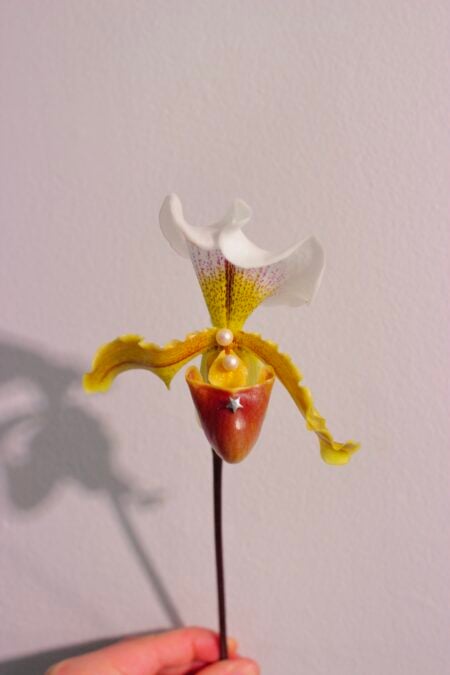 Flower Hag arrangement