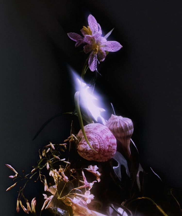 Seashell flower arrangement by Flower Hag