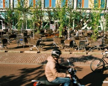 Person biking next to Moving Forest
