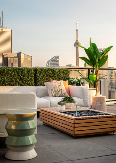 Penthouse in downtown Toronto with a rooftop terrace