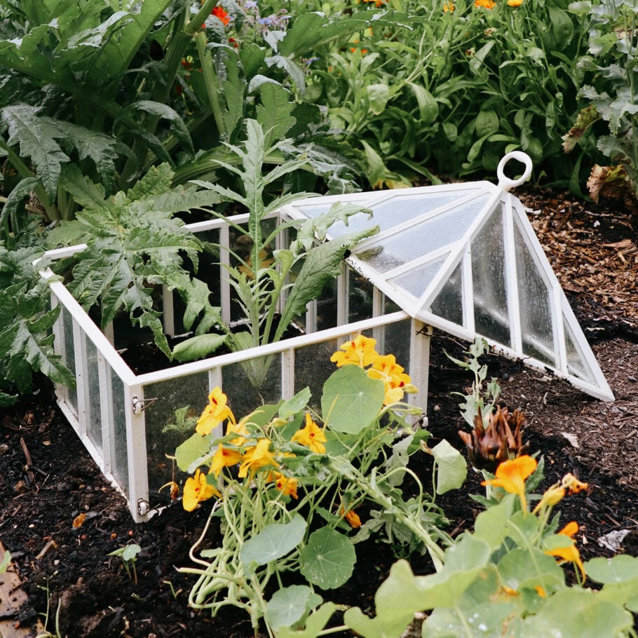 Garden Tools - cloche