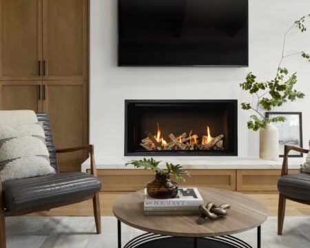 Valor LT1 Gas Fireplace