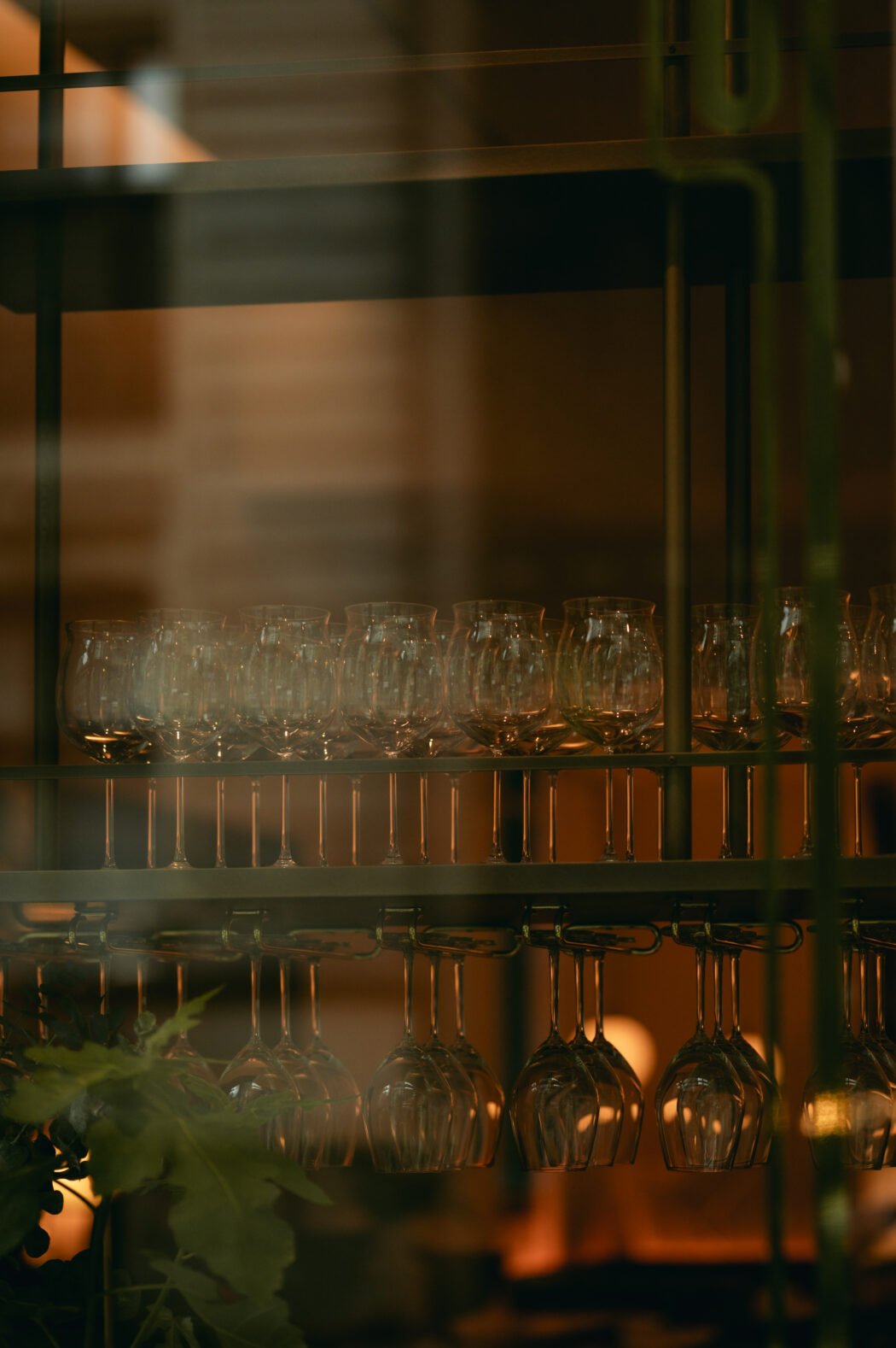 toronto streetscapes