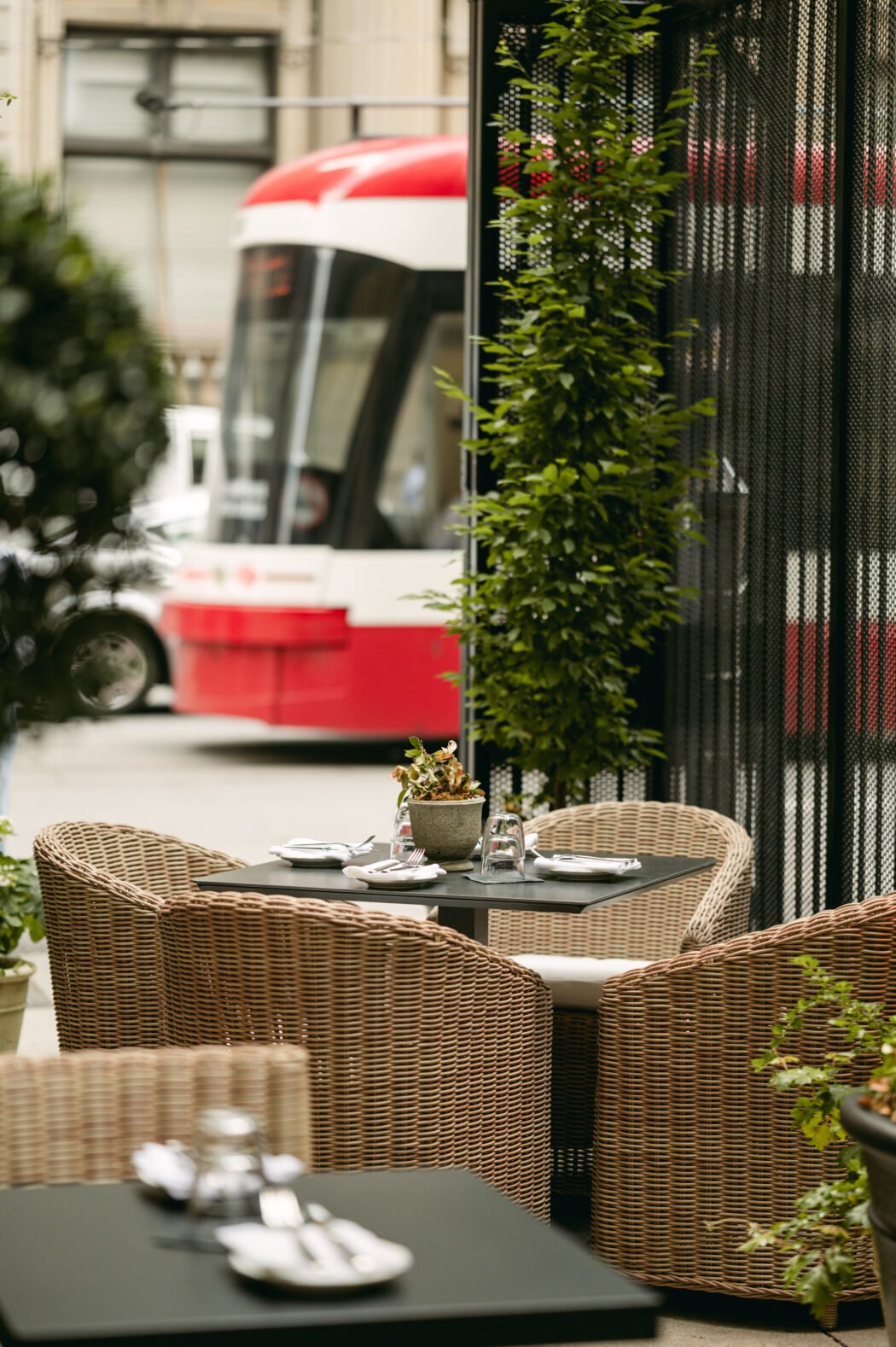 Paige Thompson Photography