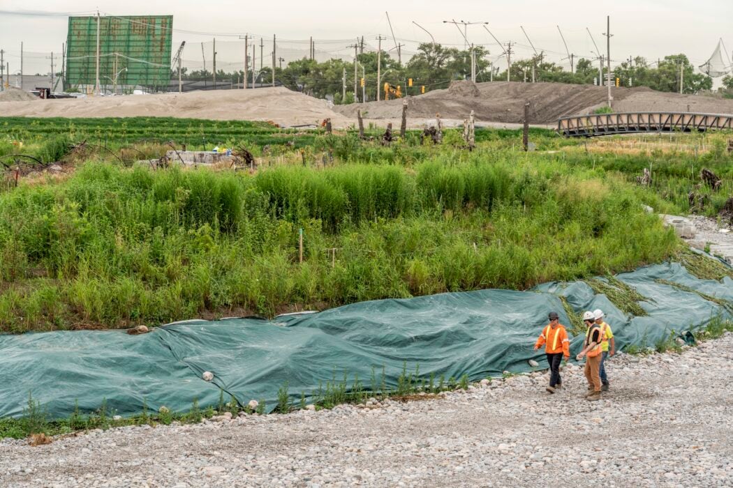 Toronto Green Spaces